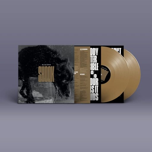 Algiers - Shook, Stricltly Gold Edition (2LP)