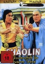 Shaolin - Die Bruderschaft dre schwarzen Spinne (DVD)