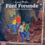 Fünf Freunde In der Höhle des Urmenschen, Folge 95 | 1CD | Zustand: sehr gut