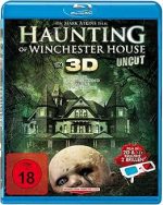 Haunting of Winchester House 3D (incl. 2 3D Brillen) | 1BlueRay | FSK 18 | NEU+OVP