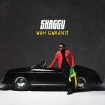 Shaggy - Wah Gwaan?! | 1CD |  NEU+OVP