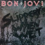 Bon Jovi - Slippery when wet | 1CD | Zustand:  sehr gut